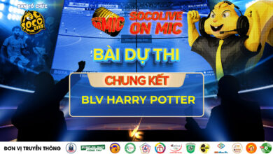 BLV HARRY POTTER