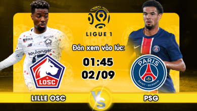 Link xem trực tiếp Lille OSC vs Paris Saint Germain