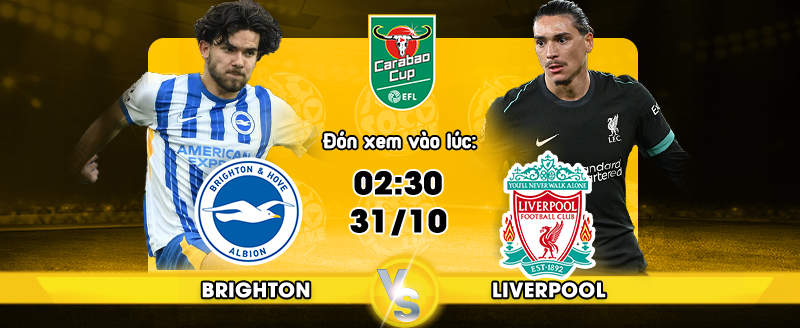Link xem trực tiếp Brighton Hove Albion vs Liverpool